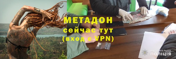 шишки Белокуриха