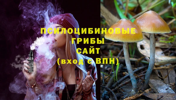 дживик Богданович