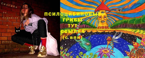 соль курить ск Богородицк