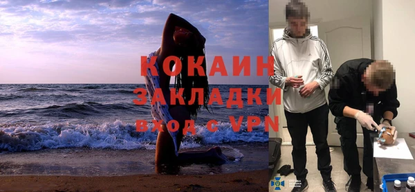 шишки Белокуриха