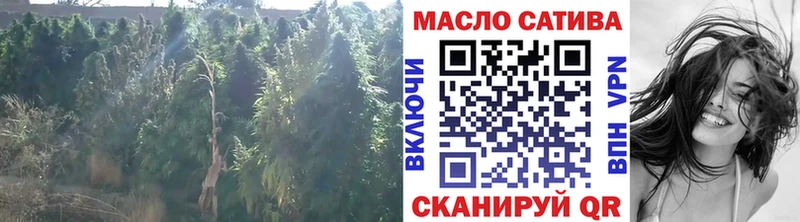 закладки  Балей  Дистиллят ТГК Wax 